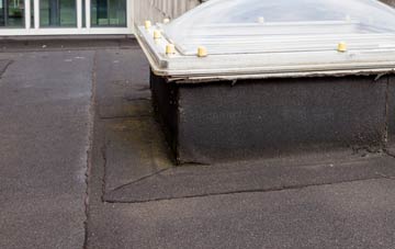 disadvantages of West Liss flat roofs