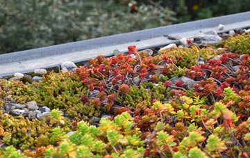the cost of West Liss green roof installation