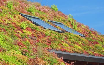 West Liss living roof systems