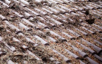 West Liss roof cleaning companies